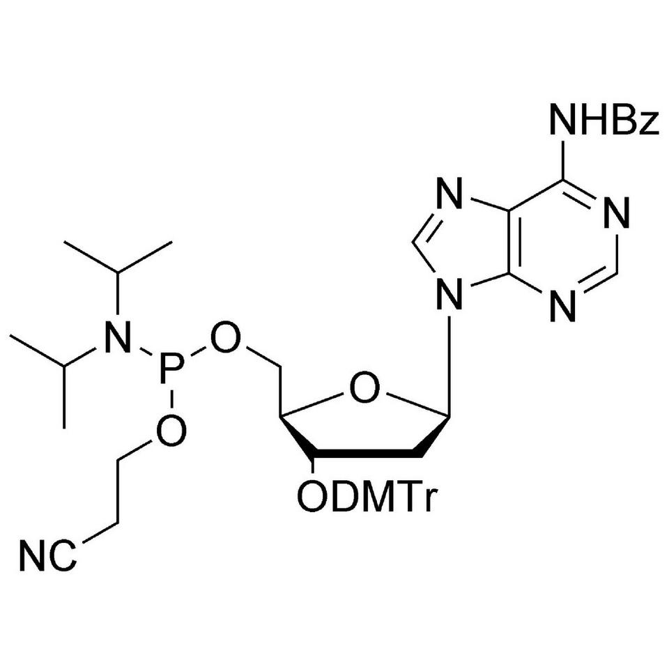 dA (Bz)-5' CE-Phosphoramidite, 10 g, MerMade (250 mL / 28-400)